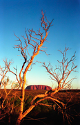 OB131 Uluru / Ayers Rock, Northern Territory